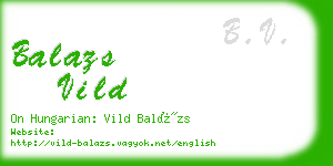 balazs vild business card